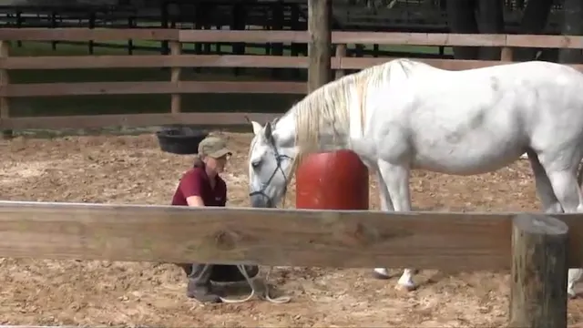 First Steps with a Tense Distracted H...