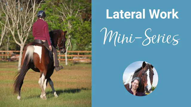 Lateral Work Mini-Series