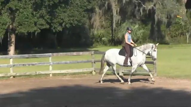 Shoulder-In to Lengthening on a Circl...