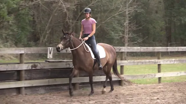 Basics with Solana Online & Riding - ...
