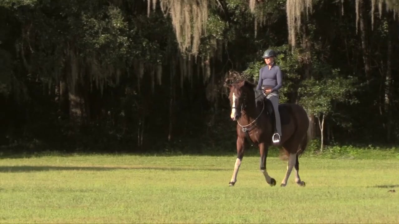 Rider's Outside Hip Release - Nov 2021