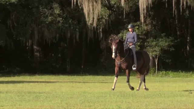 Rider's Outside Hip Release - Nov 2021
