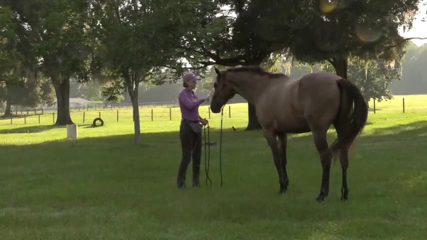 Matching Energy On Line with  Teo - Aug 2020