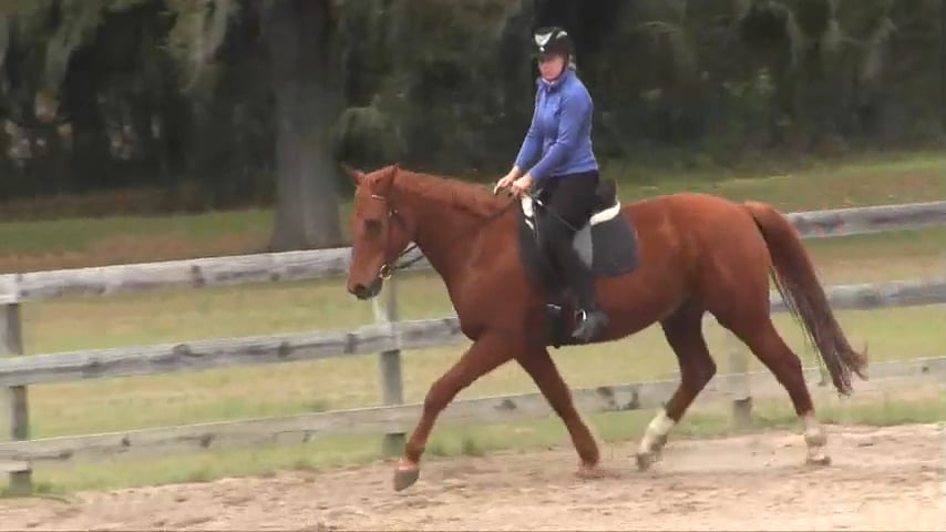 Developing Lengthenings Shawna and Jaxon - Apr 2015
