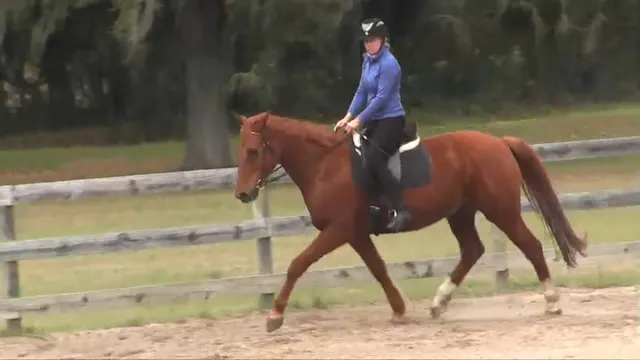 Developing Lengthenings Shawna and Ja...