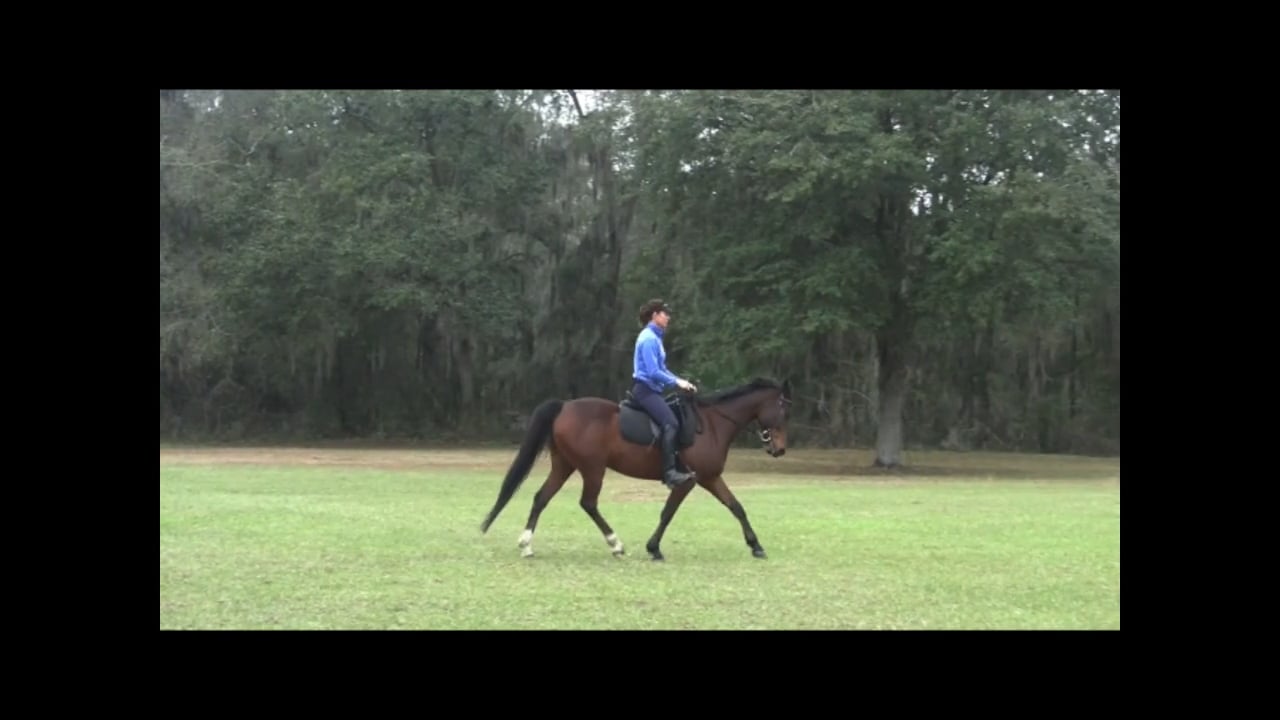 Breathing Aids with Atomic & Jedi - March 2012
