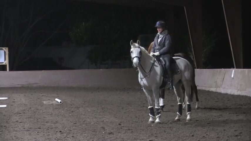 Bridleless Demo Part 2 Getting Started - Mar 2020