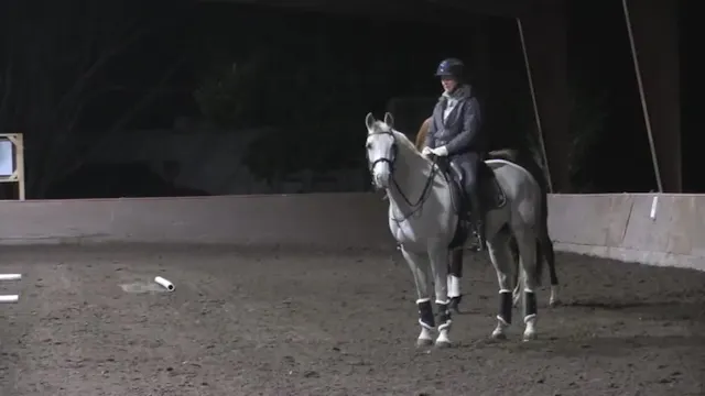 Bridleless Demo Part 2 Getting Starte...