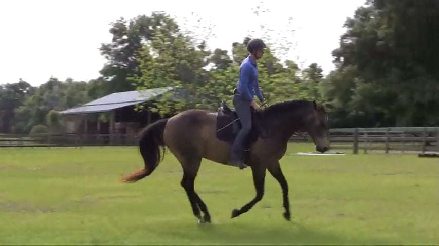 Posting at the Canter - May 2016