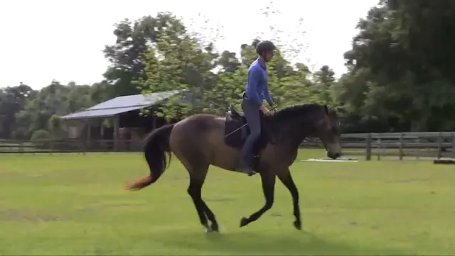 Posting at the Canter - May 2016