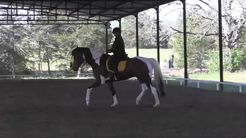 Inreasing Elasticity & Cadence Riding with Heidi  & 'Q' - Aug 2015