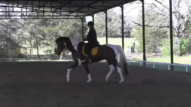 Inreasing Elasticity & Cadence Riding...