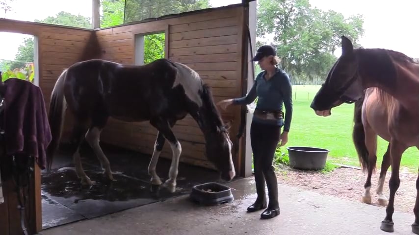 Redirecting Unwanted Behavior - Aug 2019