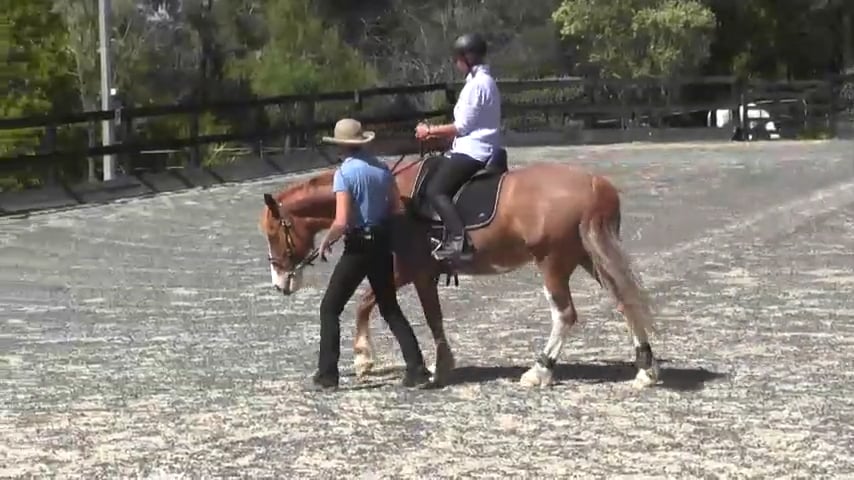 Moving Massage Part 2 Dissolving Tension Riding - Dec 2014