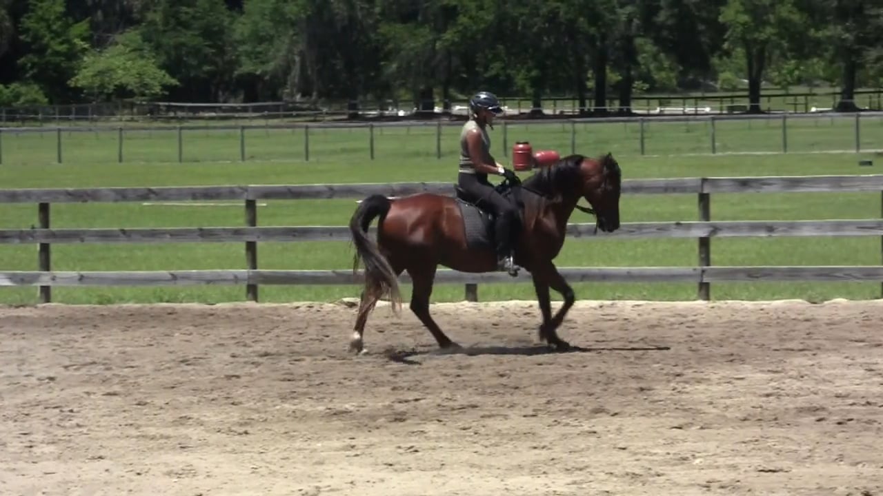 Coming Off Forehand with June & Moon - June 2012