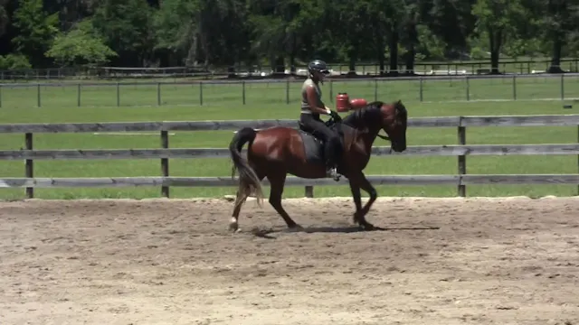 Coming Off Forehand with June & Moon ...