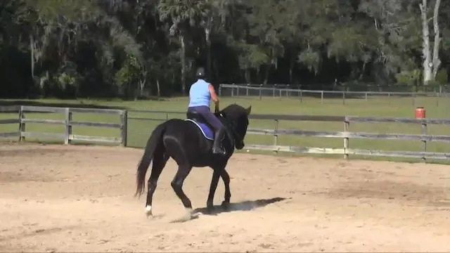 Counter Bend & Counter Canter with Ge...