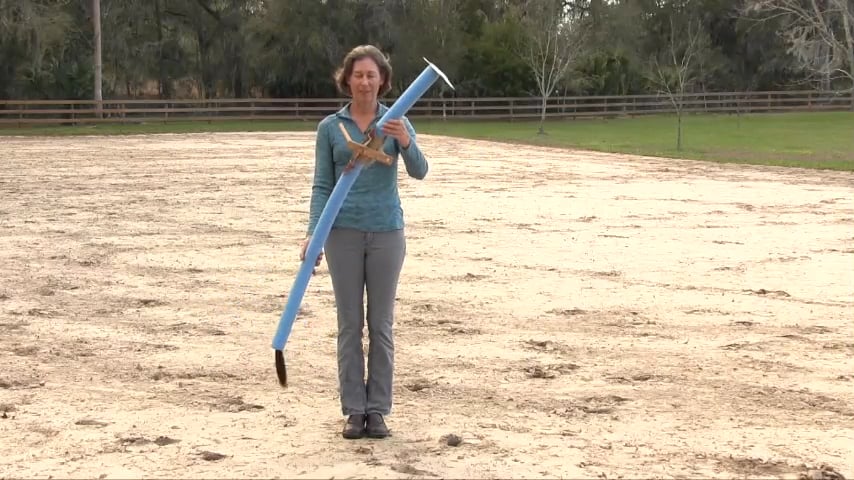 Basic Alignment Exercise Explained - Mar 2018