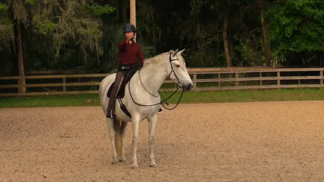 Lateral Positions With No Reins - Apr...
