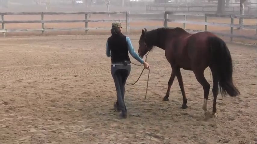 Change of Direction On Line for Suppling - Feb 2018
