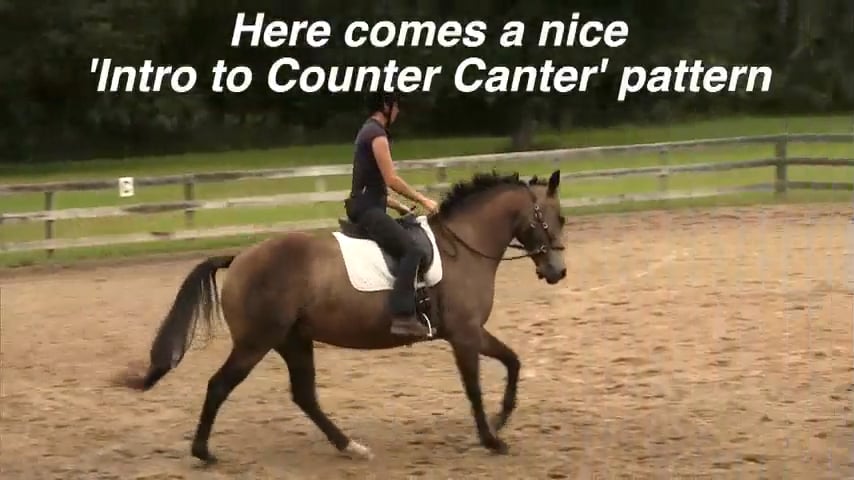 Solana Lesson with Jos Sevriens - Working Gaits - Nov 2014