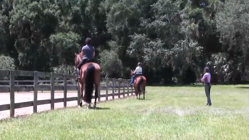 Shoulder In Exercise: Get In - Get Out - June 2019
