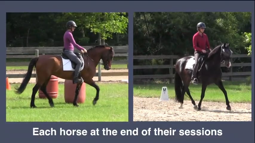 Rider Skills For Throughness and Balance - Jun 2018