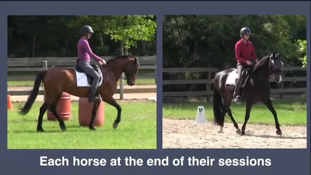 Rider Skills For Throughness and Bala...