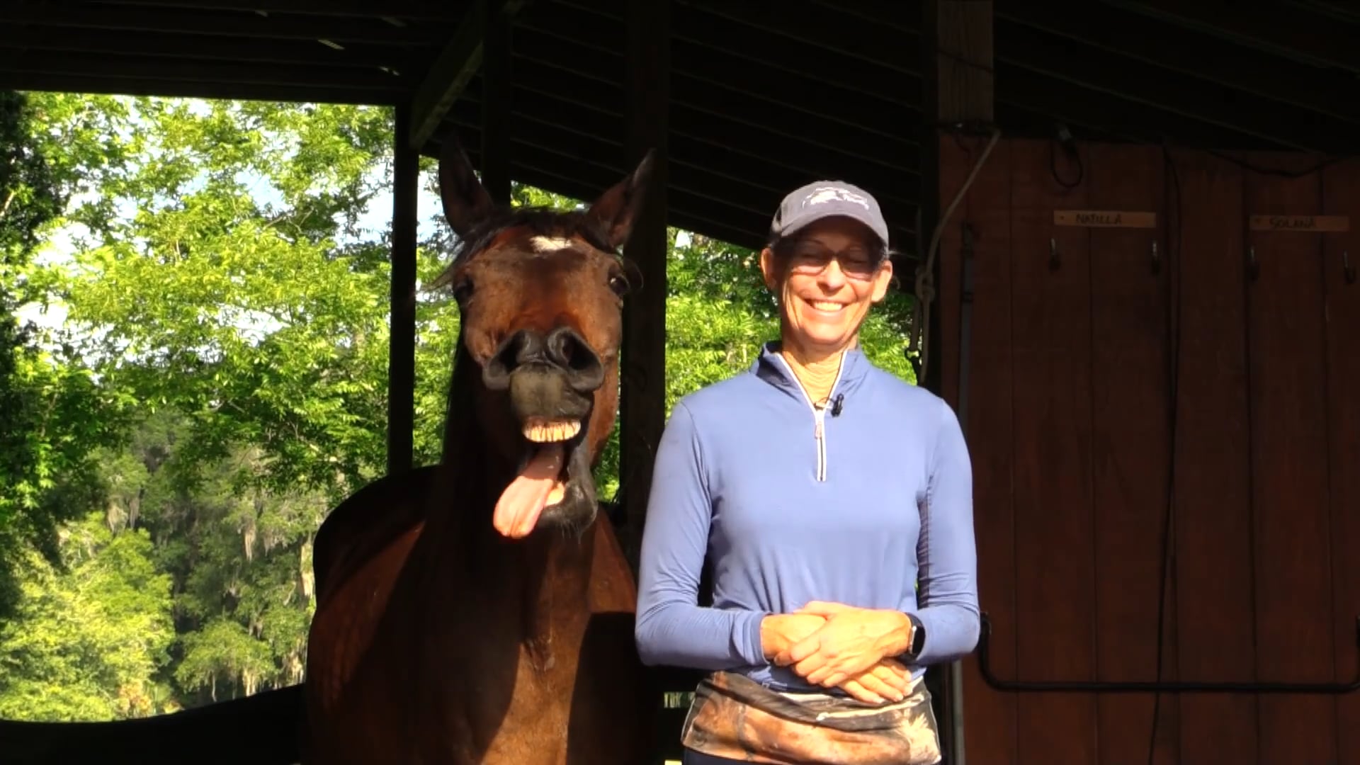 Teach Your Horse To Yawn-June 2026