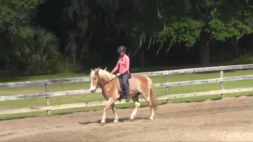 Riding Through Brace Karen & Banner - June 2016