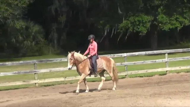 Riding Through Brace Karen & Banner -...