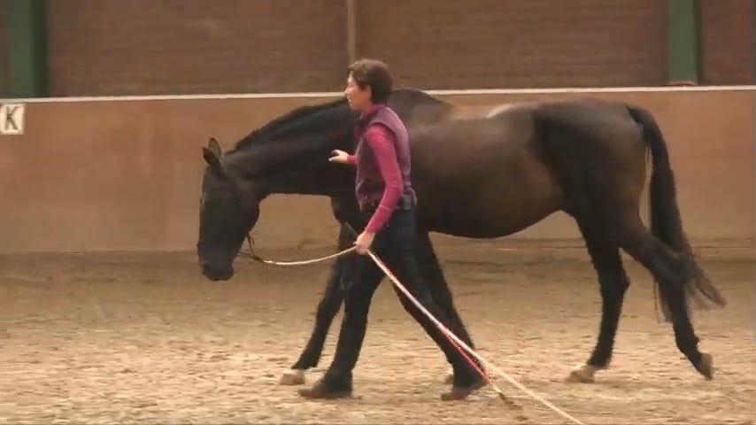 Dissolving Postural Tension On Line - Jan 2015