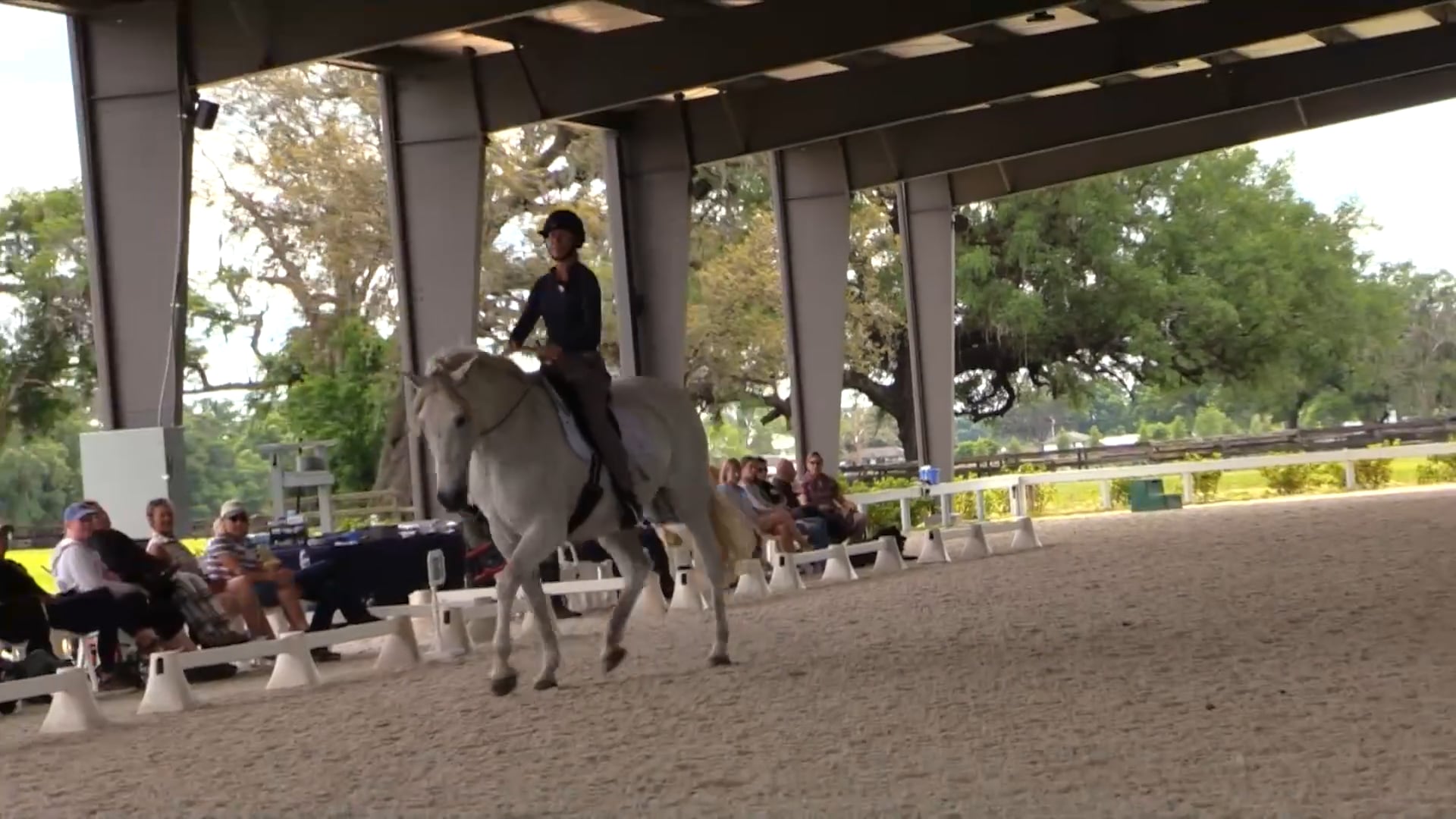Effecting Posture Bridleless Demonstration - May 2023