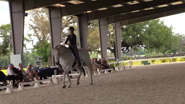 Effecting Posture Bridleless Demonstr...