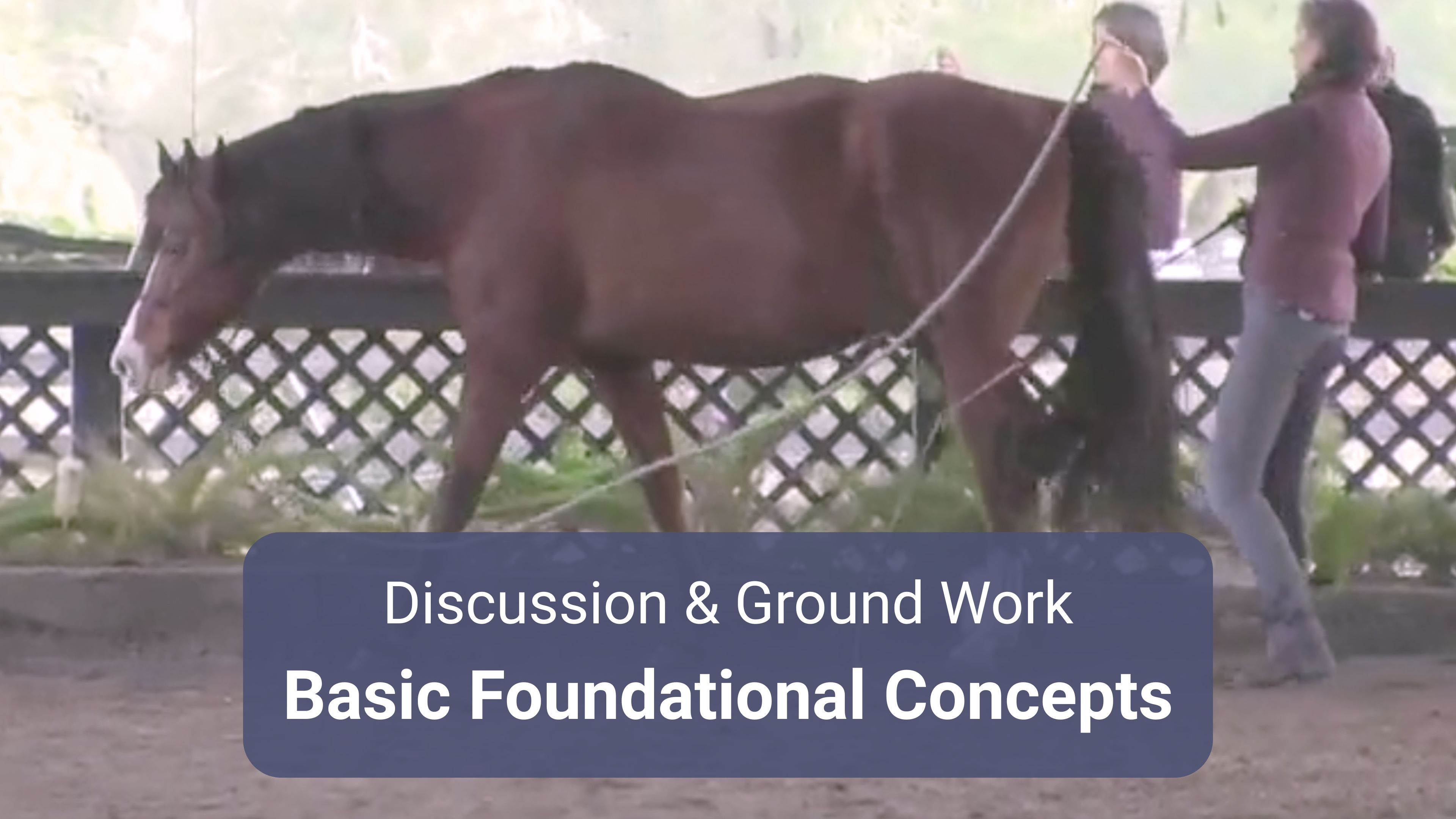 Basic Foundational Concepts On Line Part 1 & 2
