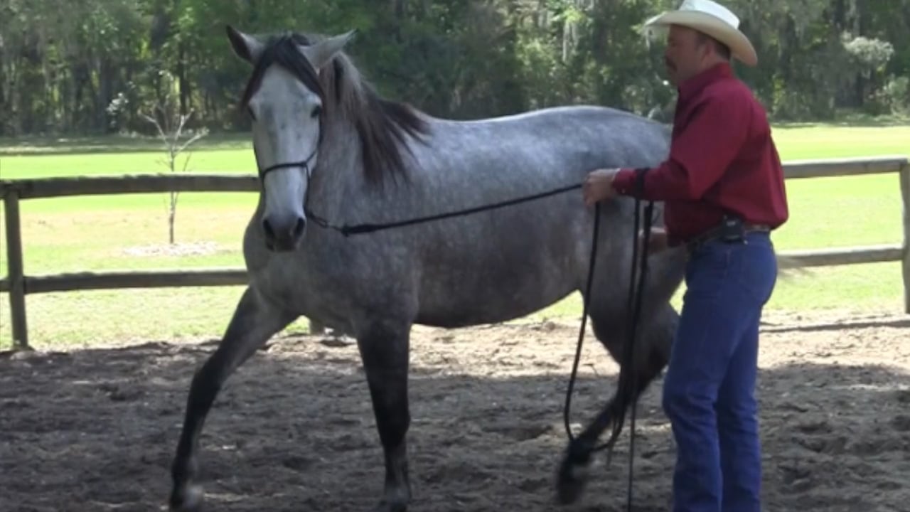 Tuning Up Responsiveness with Glenn Stewart and Natilla - May 2013