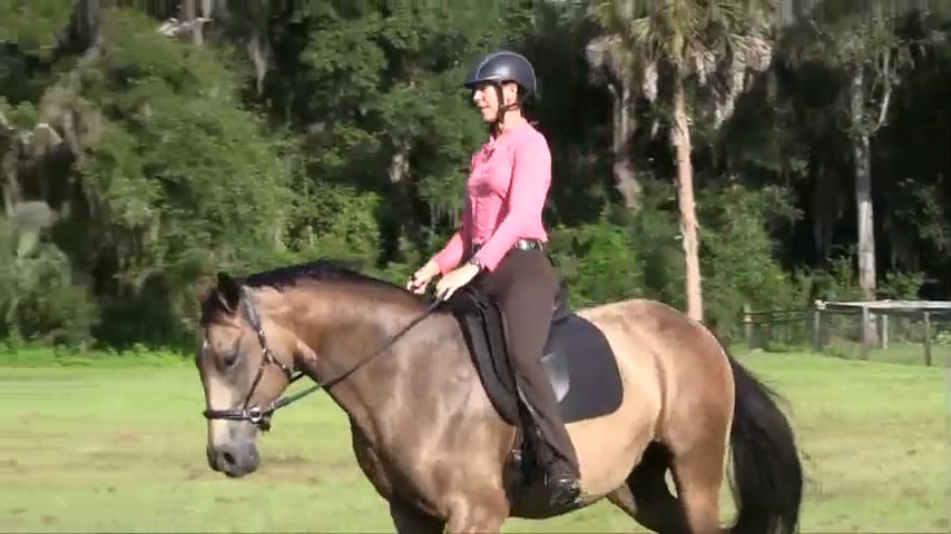 Riding Forward To The Connection - September 2015