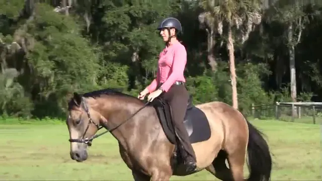 Riding Forward To The Connection - Se...