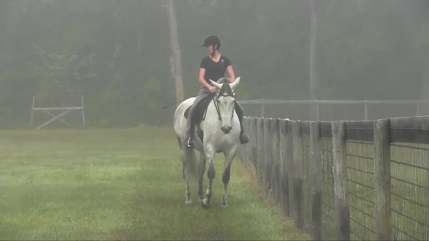The Secret to Shoulder-In and Haunches-In - Apr 2015