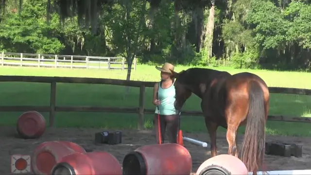 The Clutter Circle To Help A Horse Ge...
