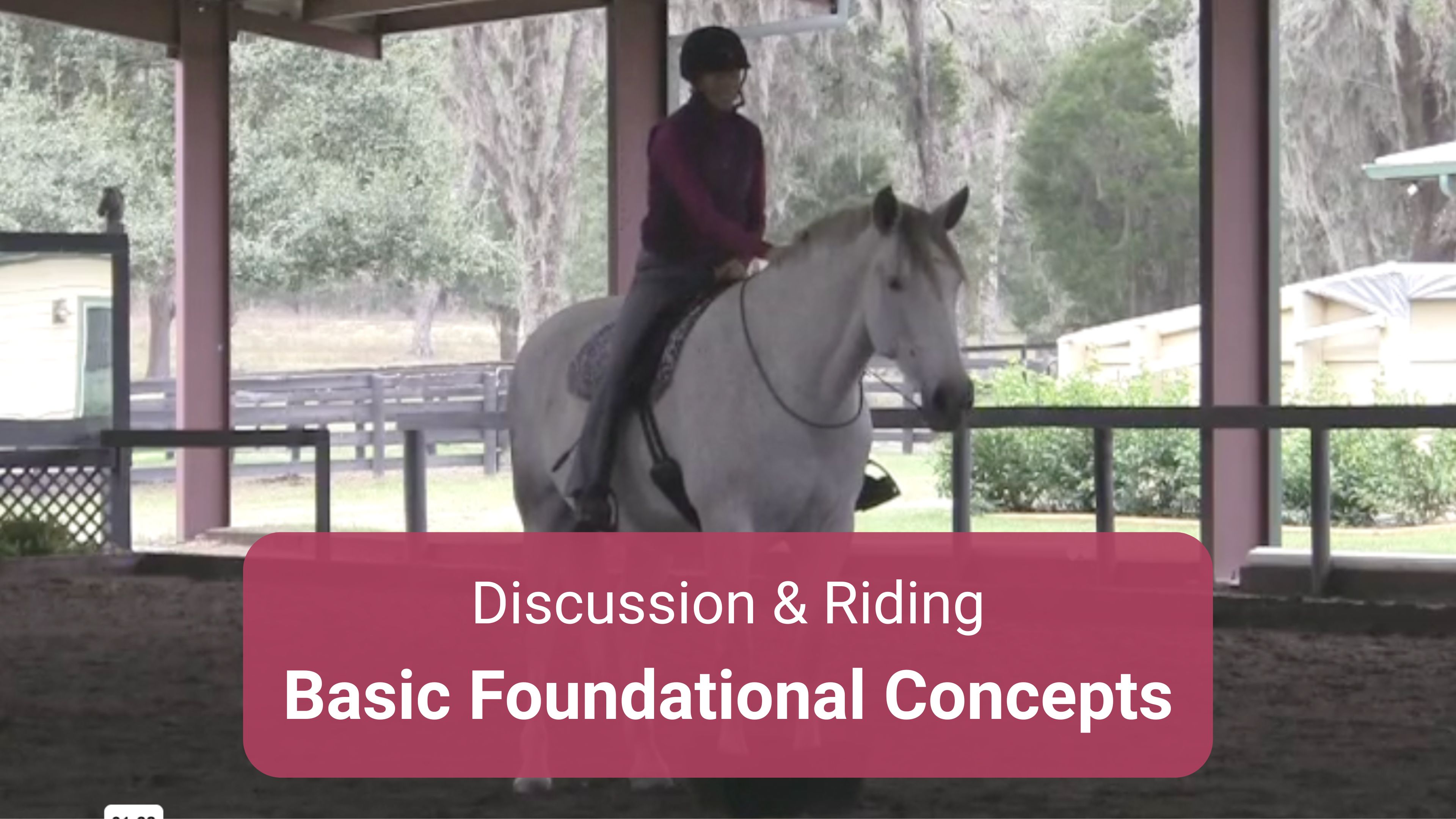 Basic Foundational Concepts Riding Part 1 & 2