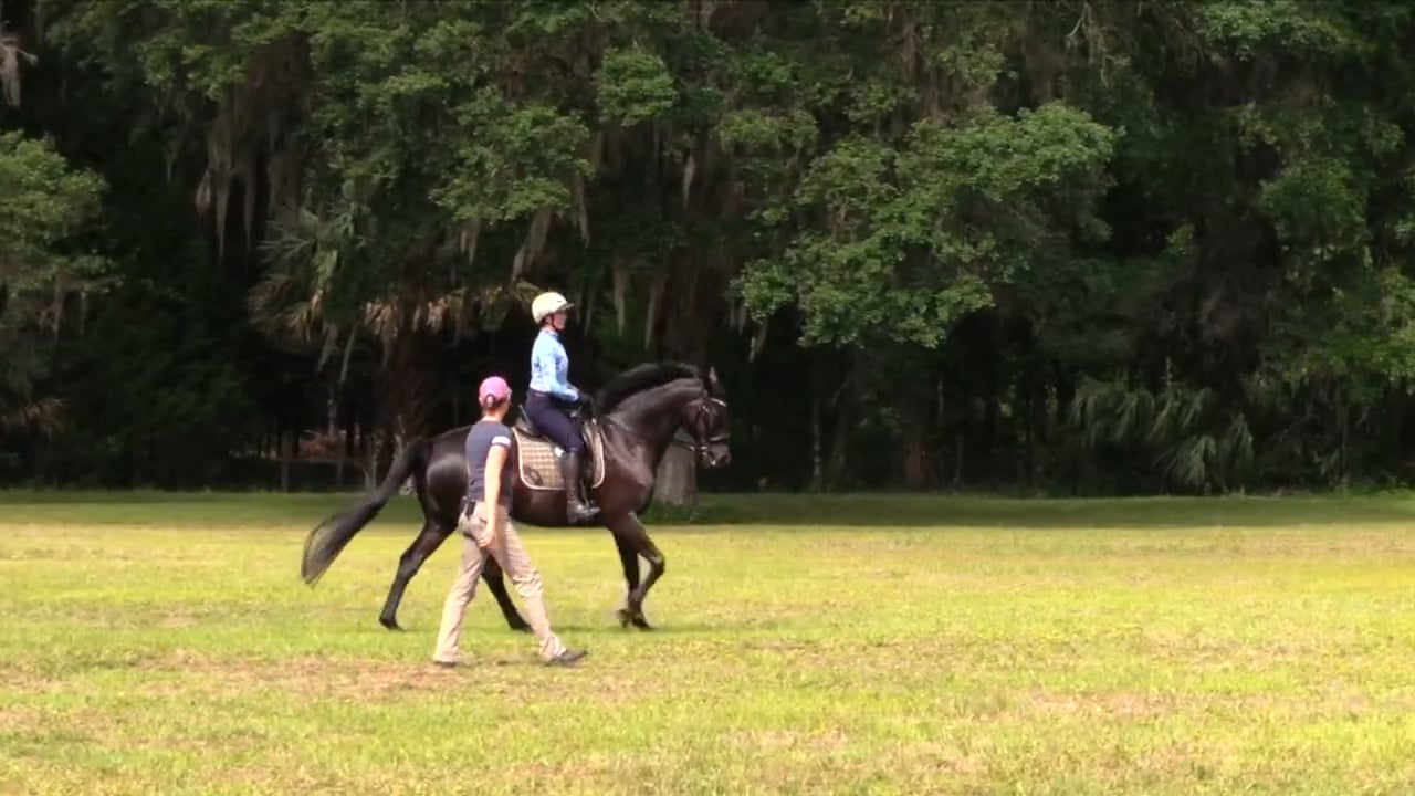 Relaxed Body in Collection At The Canter - July 2023