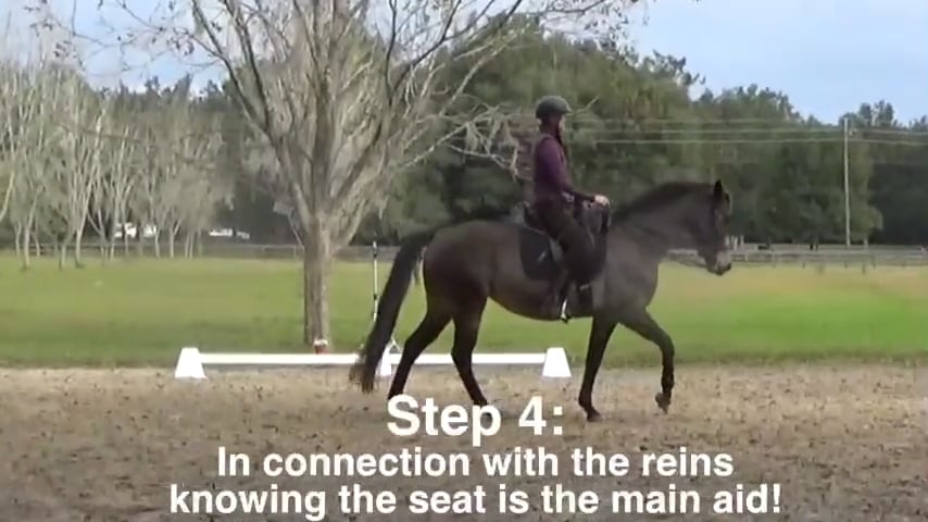 An Exercise For Self Carriage Inside Connection - Dec 2020
