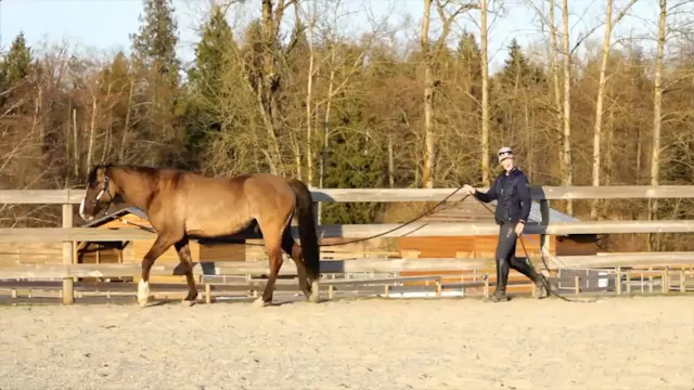 Preparation for Ground Driving With M...