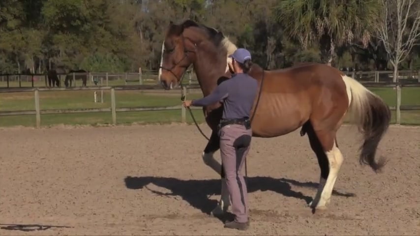 Playing With Neck Posture From The Ground - Apr 2021