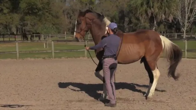Playing With Neck Posture From The Gr...