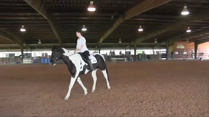 Learning To Ride Serpentines for Suppleness - May 2017