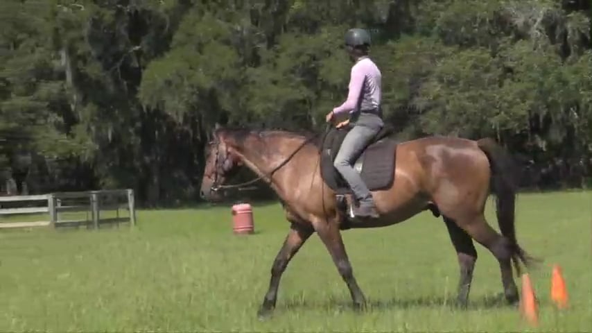 Teo Update Improved Confidence & Trust - July 2020