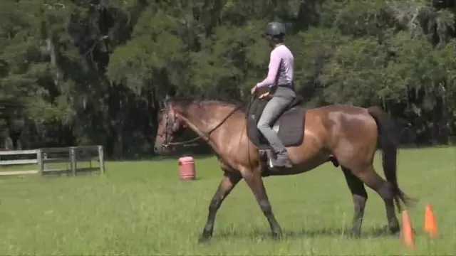 Teo Update Improved Confidence & Trus...