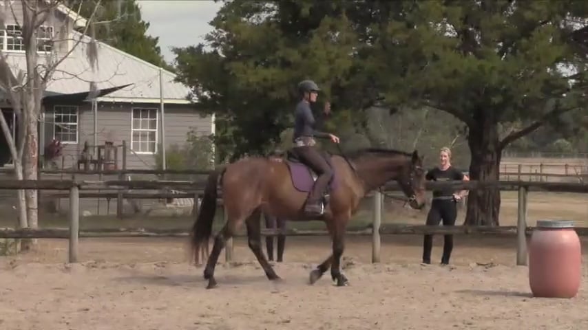 Helping A Horse Be Open To The Request To Go Forward - Feb 2021